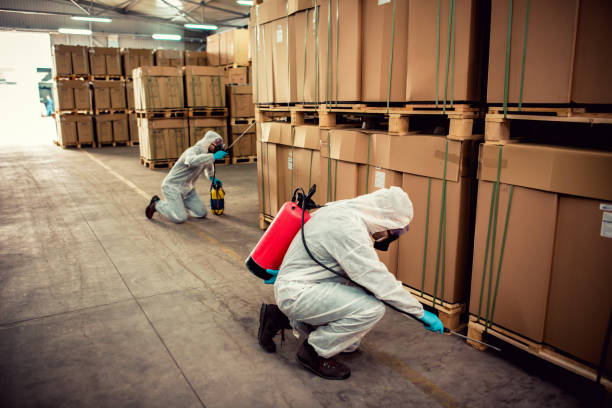 Best Wildlife Control Services  in Monument, CO