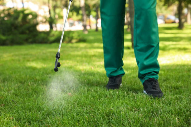 Best Best Pest Control Companies  in Monument, CO