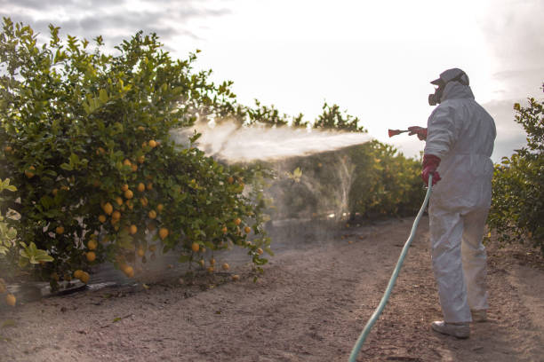 Reliable Monument, CO Pest Control Solutions