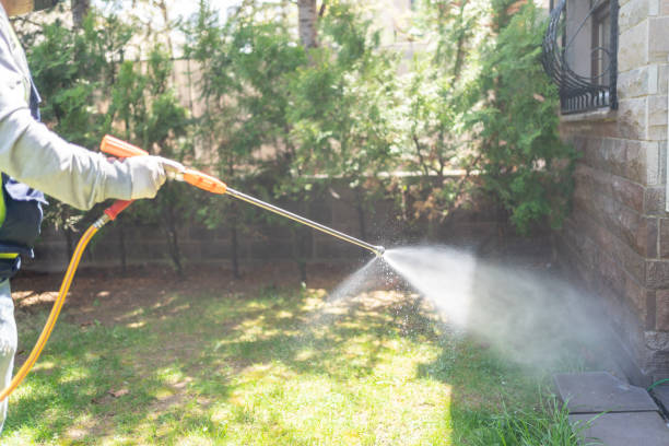 Best Pest Prevention Services  in Monument, CO
