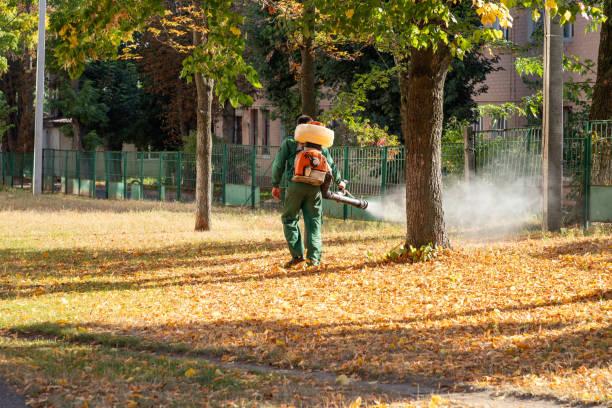 Best Wasp Removal Services  in Monument, CO
